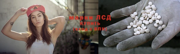 стаф Беломорск