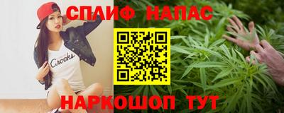 гидра Нальчик