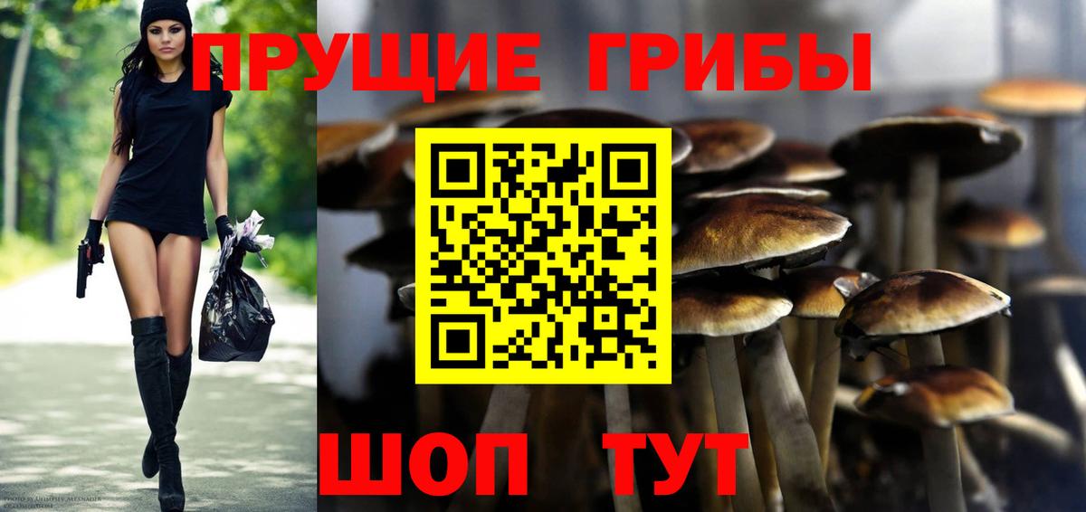 Галлюциногенные грибы прущие грибы Буйнакск