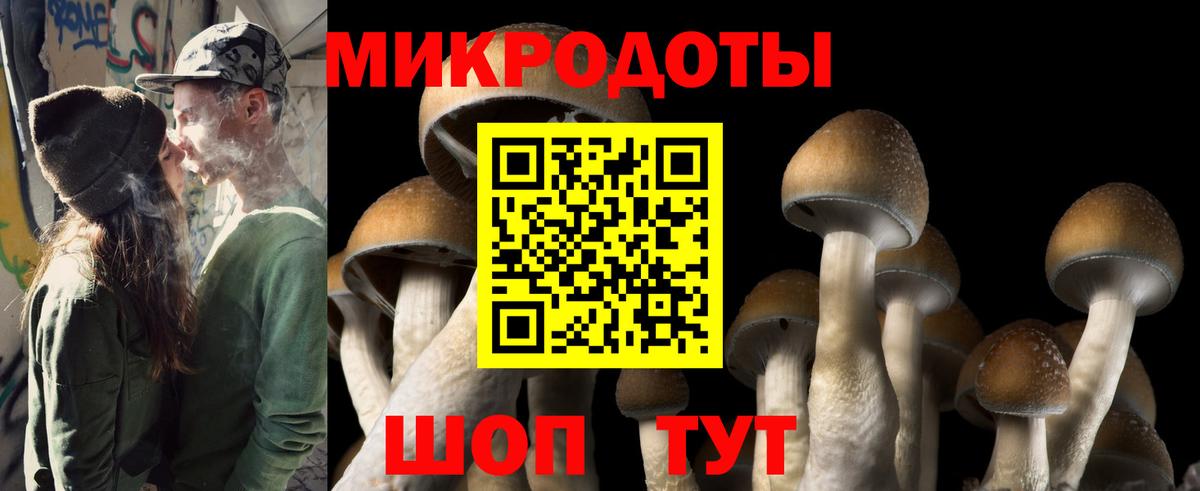 Галлюциногенные грибы Cubensis  Вход с VPN  Буйнакск 